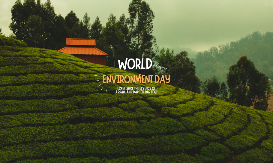 World Environment Day: Sip Sustainably with Celeste's 100% Natural Ingredients